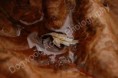 /album/photogallery/a042-watermarked-jpg/